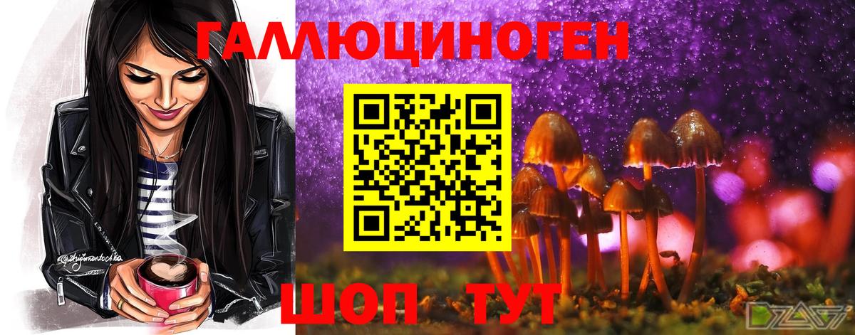Псилоцибиновые грибы GOLDEN TEACHER Северодвинск