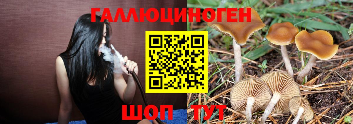 Северодвинск  Псилоцибиновые грибы MAGIC MUSHROOMS  Вход с VPN  Псилоцибиновые грибы ЛСД 